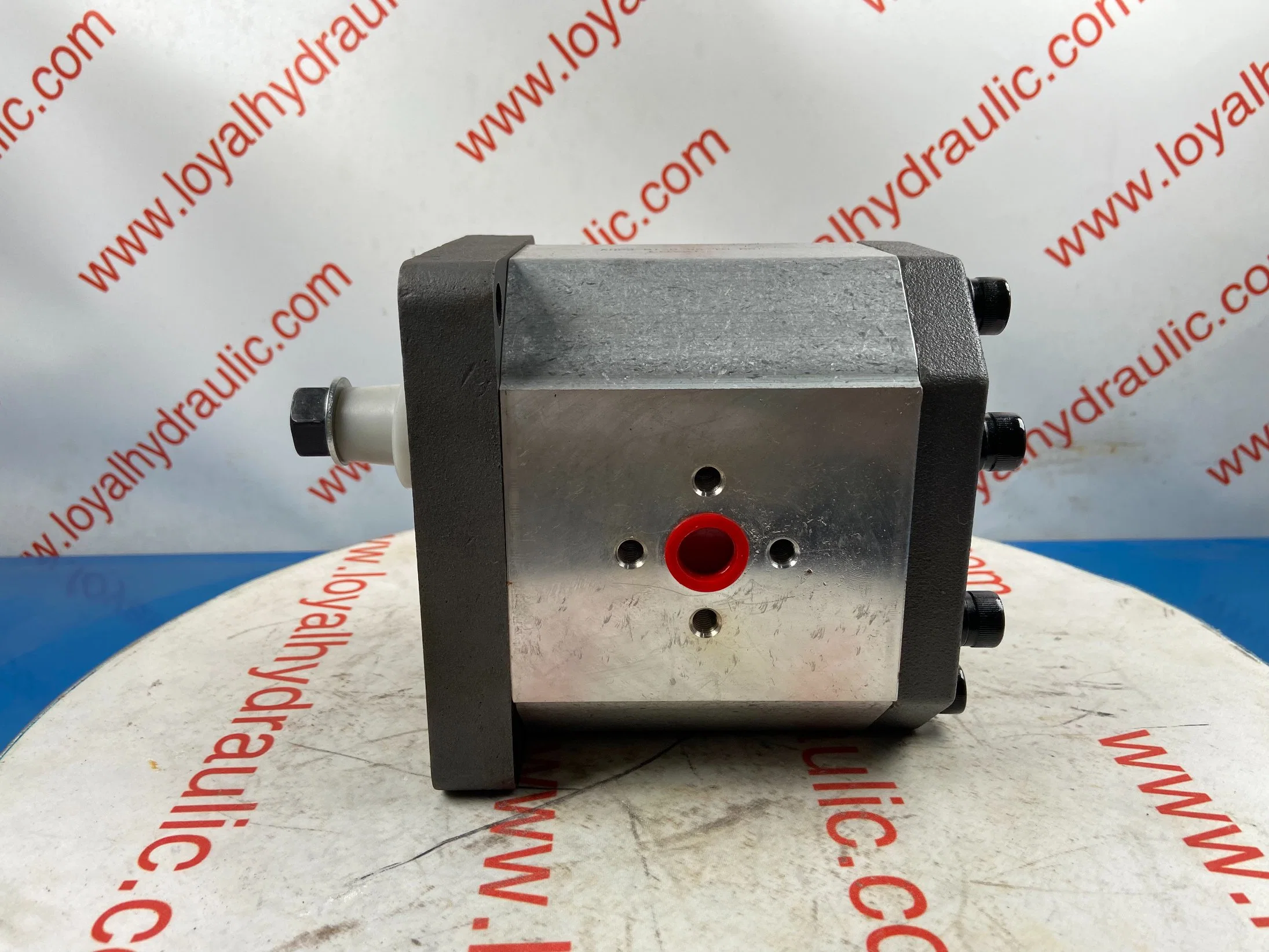 L-Caproni Hydraulic Gear Pump A16/C16/A19/C19/A14/C14/A15/C15 for Forklift, Crawler Excavator, Agricultural Machinery, Tractor Spare Parts