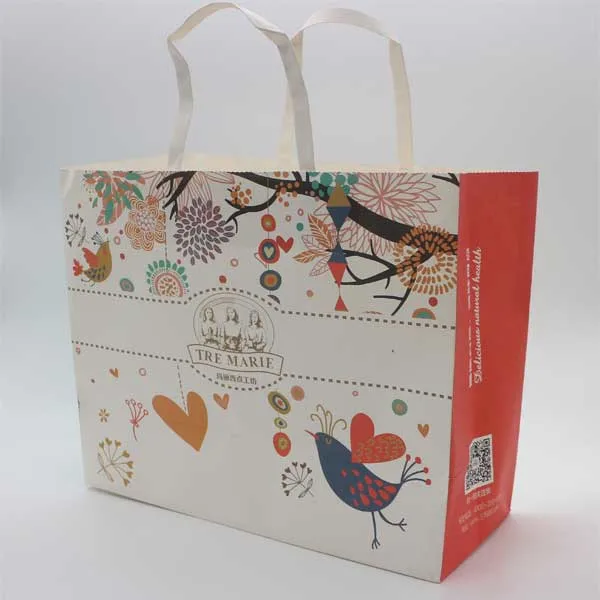 Customized Paper Shopping Bag Paper Gift Bag