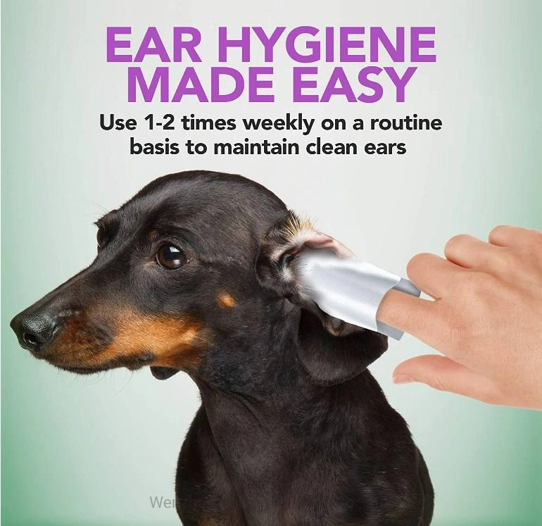 Logo toallitas desechables personalizadas no tóxicas All-Natural Grooming Pet Ear prehumedecidas Electrodos de cachorro para la limpieza de oídos