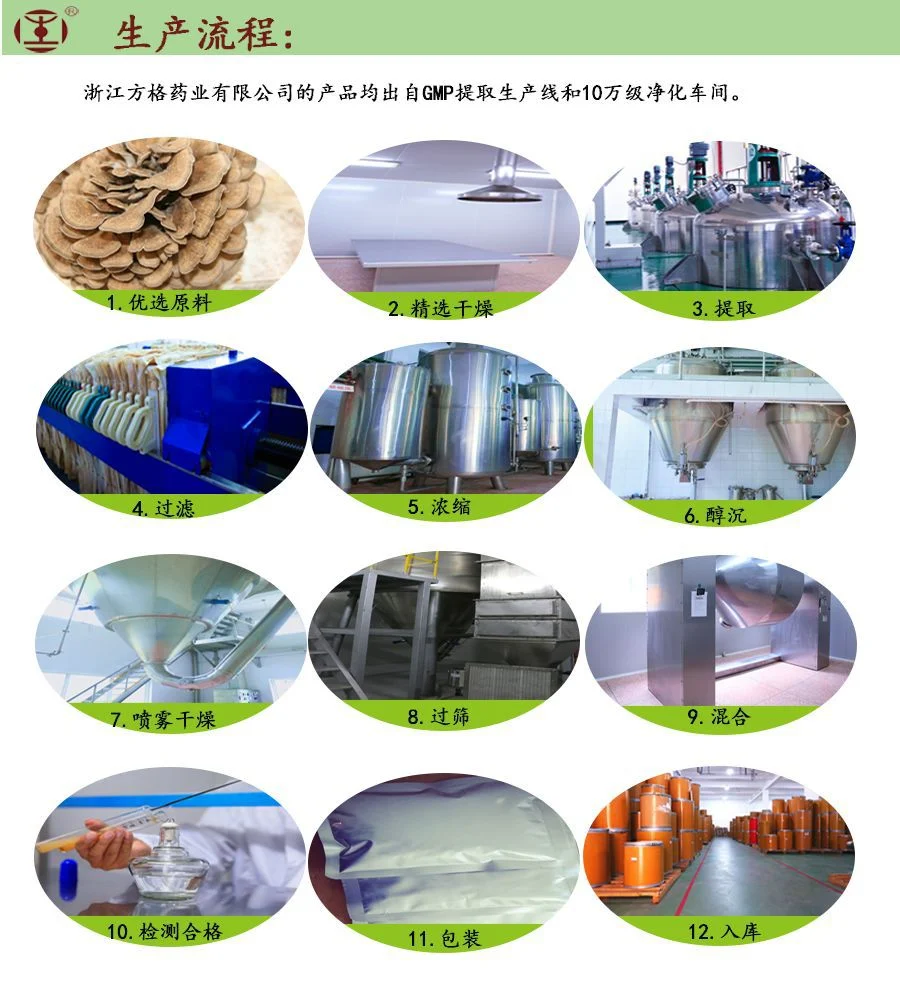 Polyporus Umbellatus Extract; The Largest Edible and Medicinal Mushroom Processing Enterprise in China; GMP/HACCP Certificate
