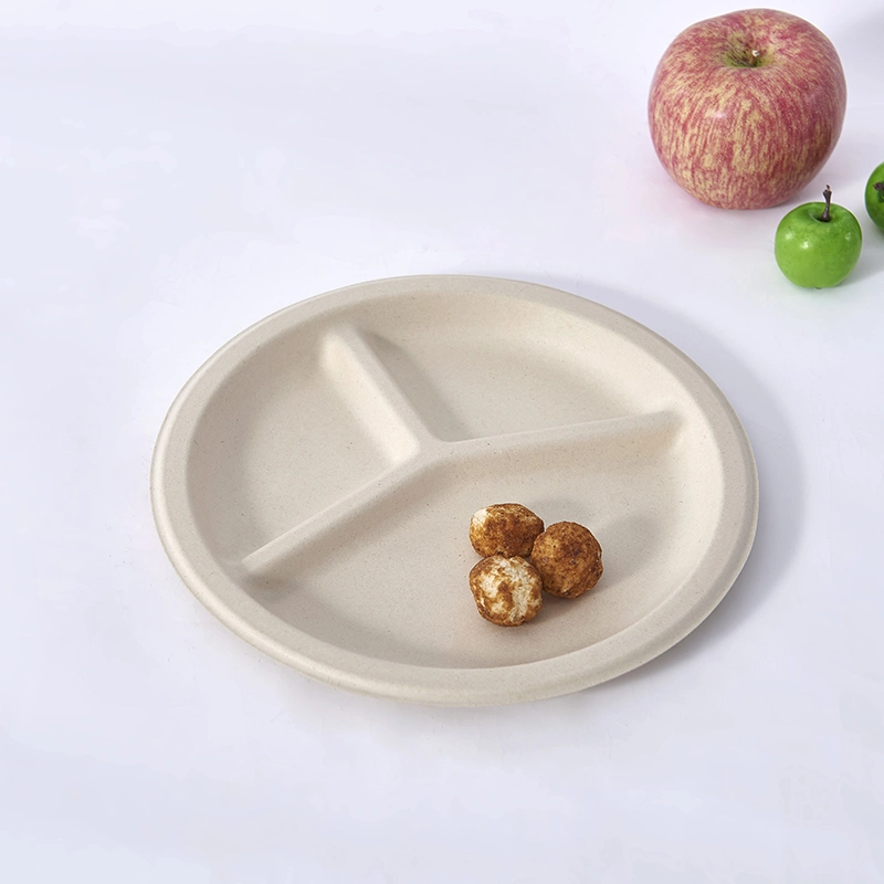 9 Inch 3 Compartment Biodegradable Sugarcane Compostable Round Plates for Fruits