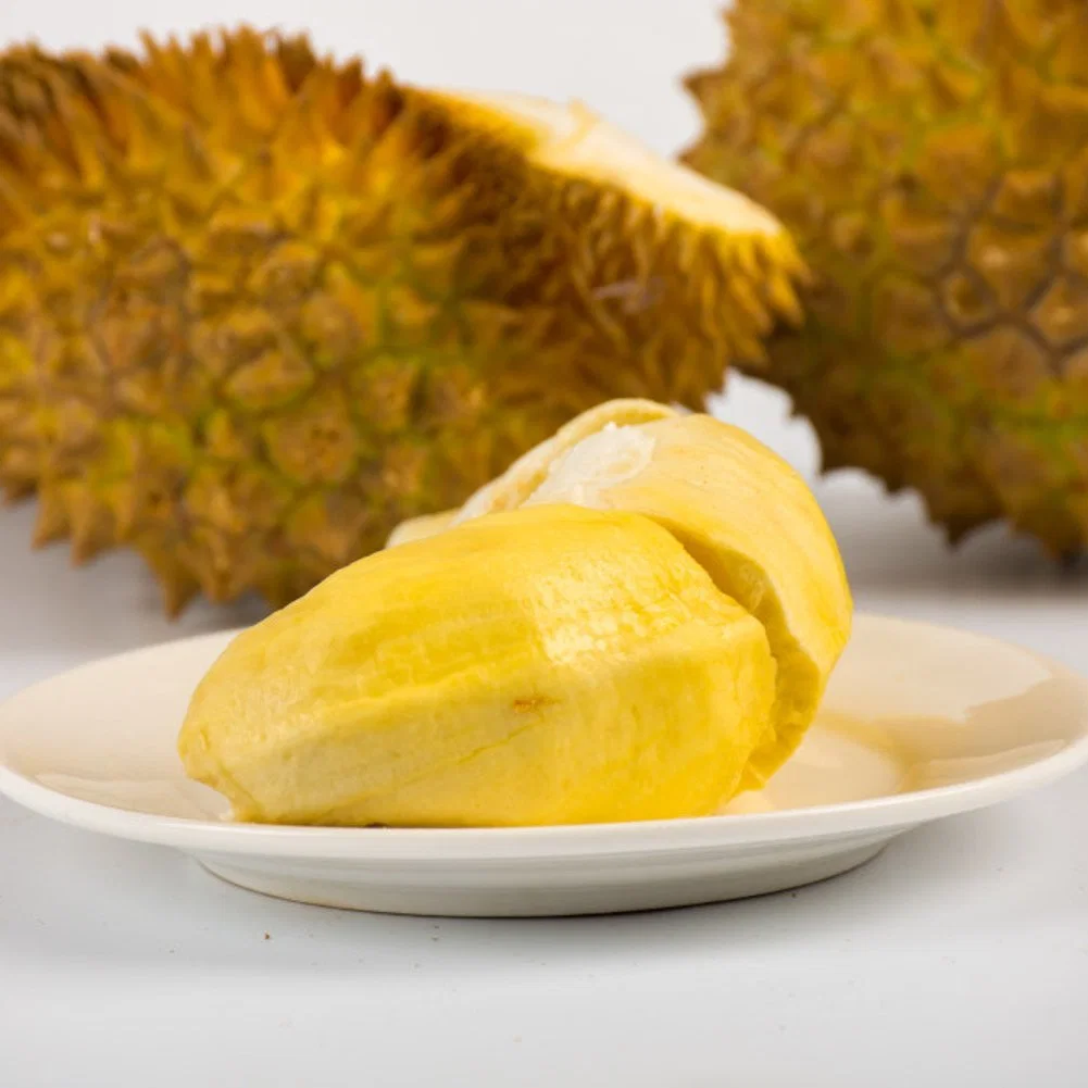 100% puro Pó de frutas natural grossista Durian extraia