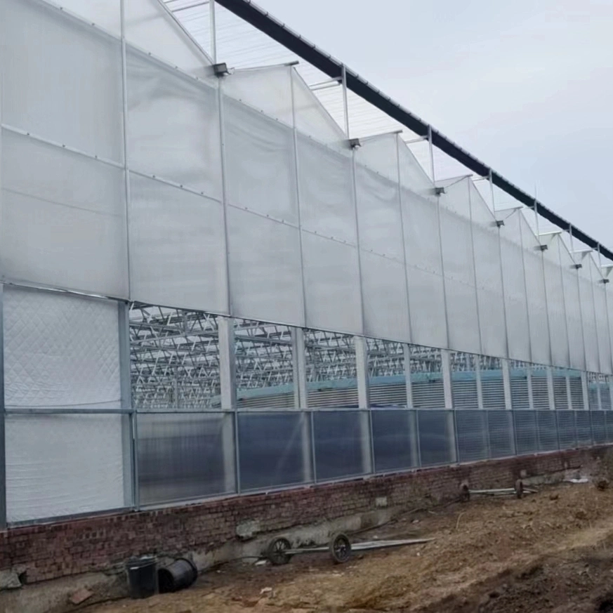 Low Cost Agricultural Commercial Venlo Polycarbonate Sheet Multi-Span Greenhouse with Hydroponic System for Vegetables/Strawberry/Tomato/Flowers