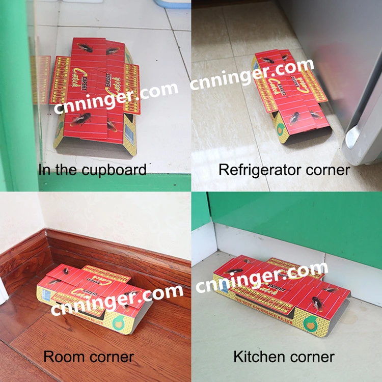 China Cockroach House Cockroach Glue Trap for USA Market