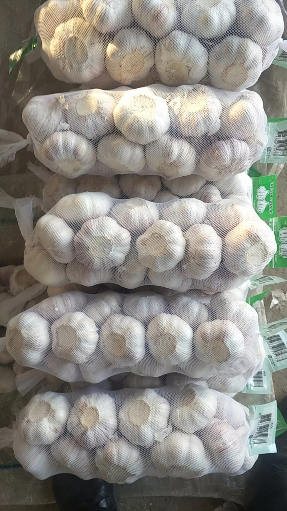 1kg X 10 Garlic 10kg Carton / Normal White Garlic