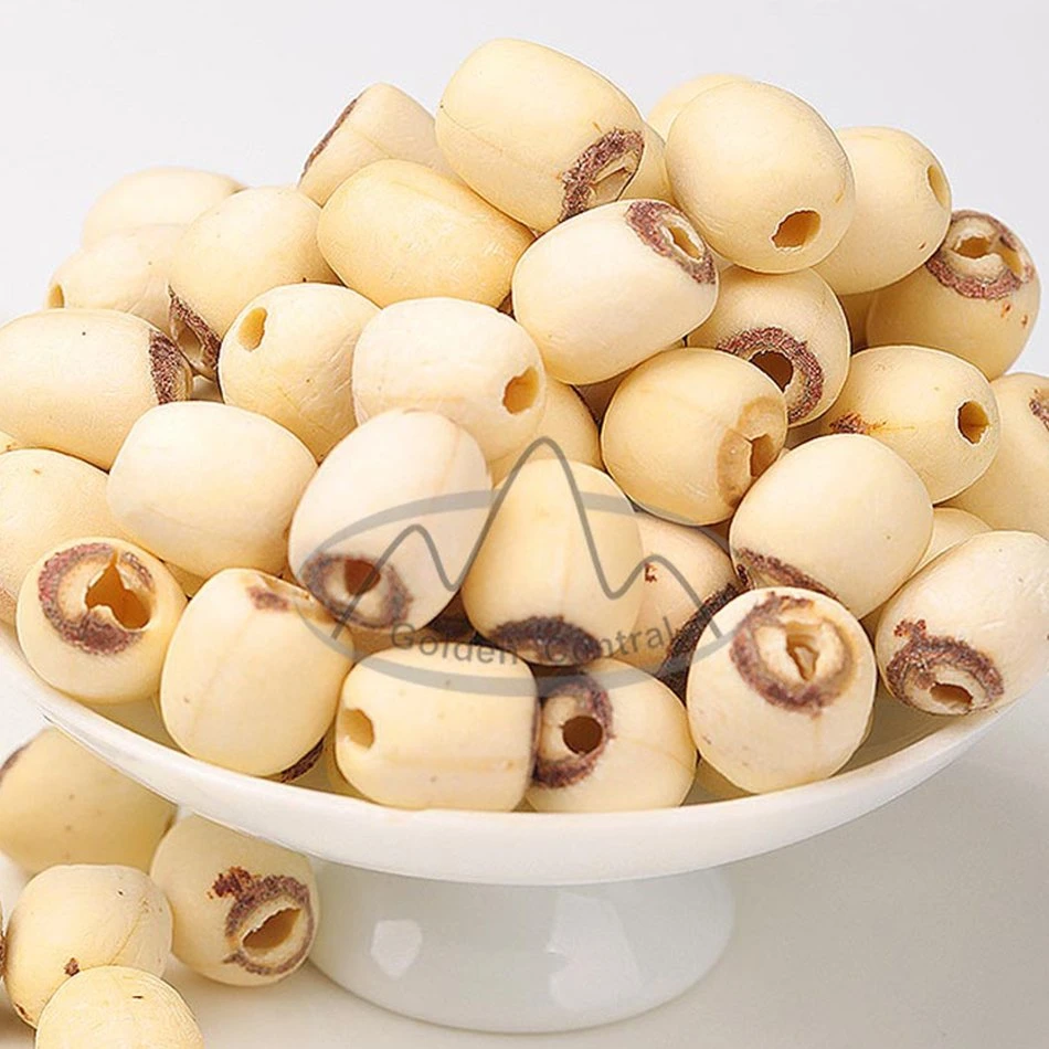 Großhandel/Lieferant natürliche getrocknete Lotus Seed Lian Zi mit hoher Qualität