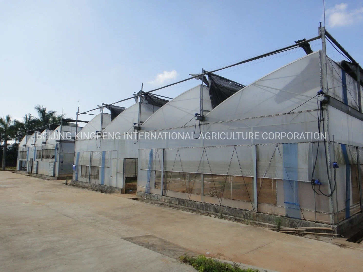 UV Plastic Film Greenhouse in Single Layer for Agriculture