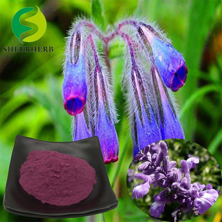 Sheerherb Supply Chinese Comfrey Extract Shikonin/ Alkanet Root Powder/ Lithospermum Gromwell Extract Alkannin