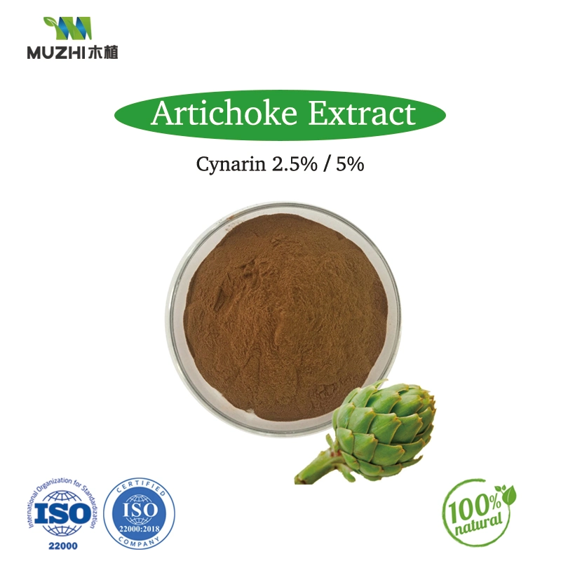 Organic Maitake Mushroom Extract Powder Natural Herbal