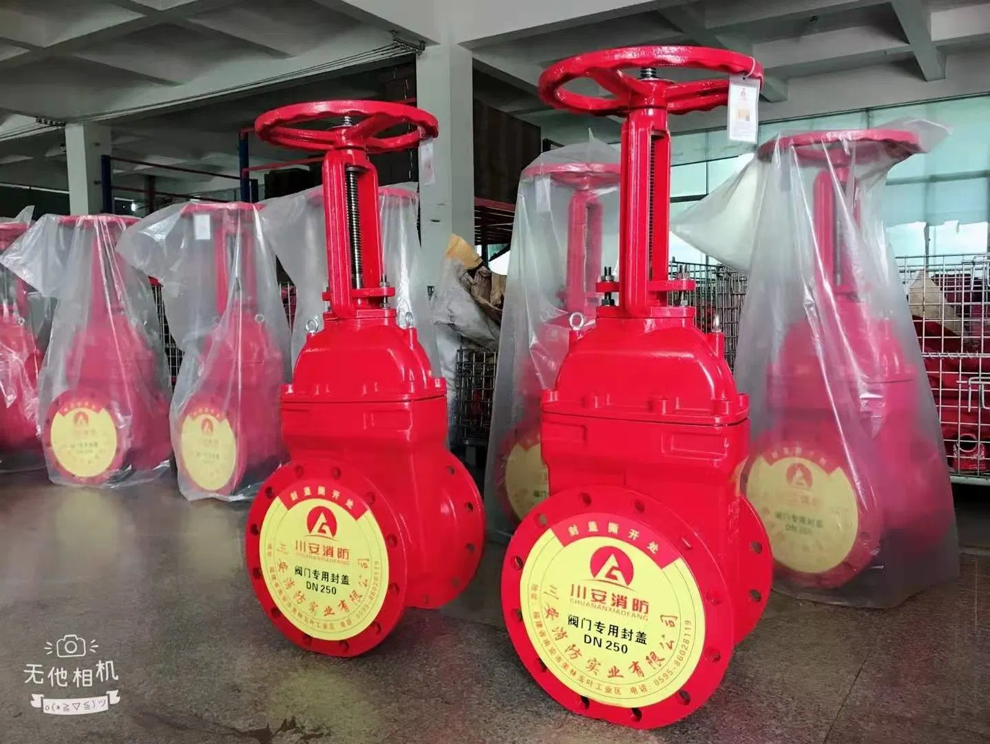 Cast Iron Resilient Seat DN150 6 Inch Gate Valve with Prices