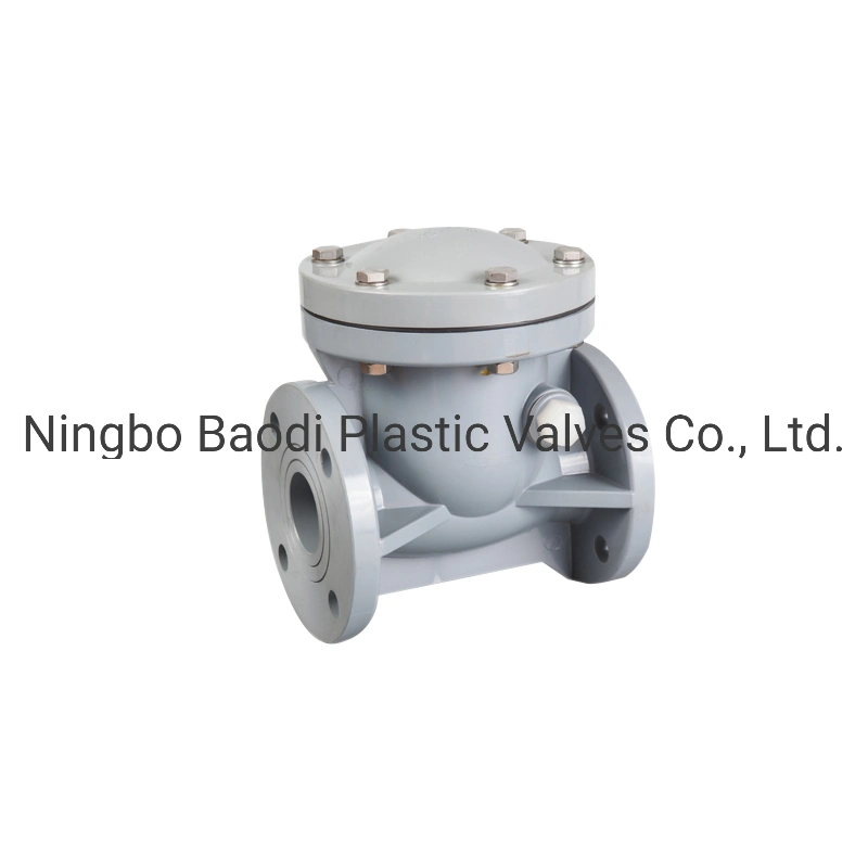 PVDF Check Valve, Swing Type