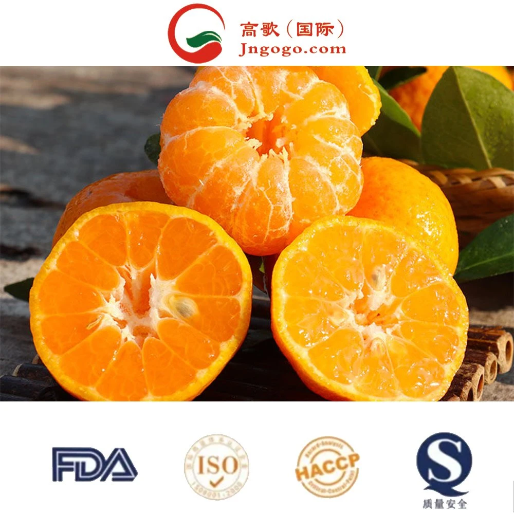 Fresh Low Price Natural Satsuma High quality/High cost performance  Sweet Tangerine