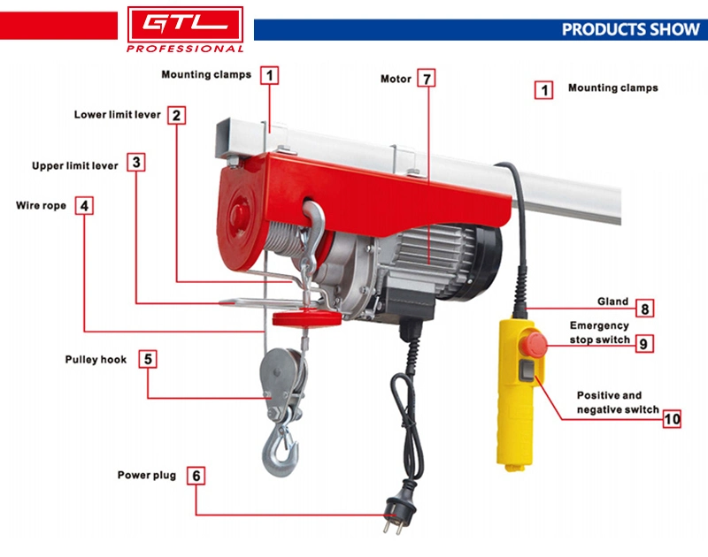 540W, 125/250kg, Hoist Scaffold Overhead Crane Double Line Lift Electric Hoist with 12m Electric Wire Hoist Remote Control Garage Auto Shop (BP125-250)