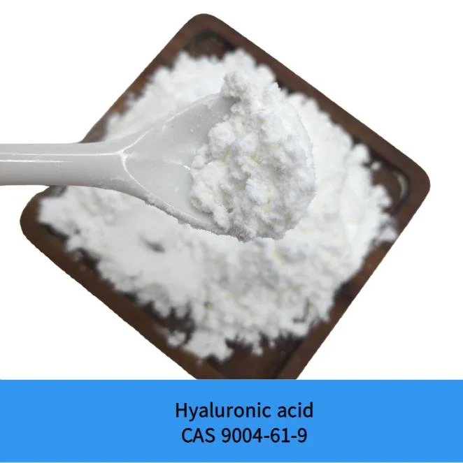 Factory Supply Cosmetic Grade Hyaluronic Acid CAS 9004-61-9 Hyaluronic Acid