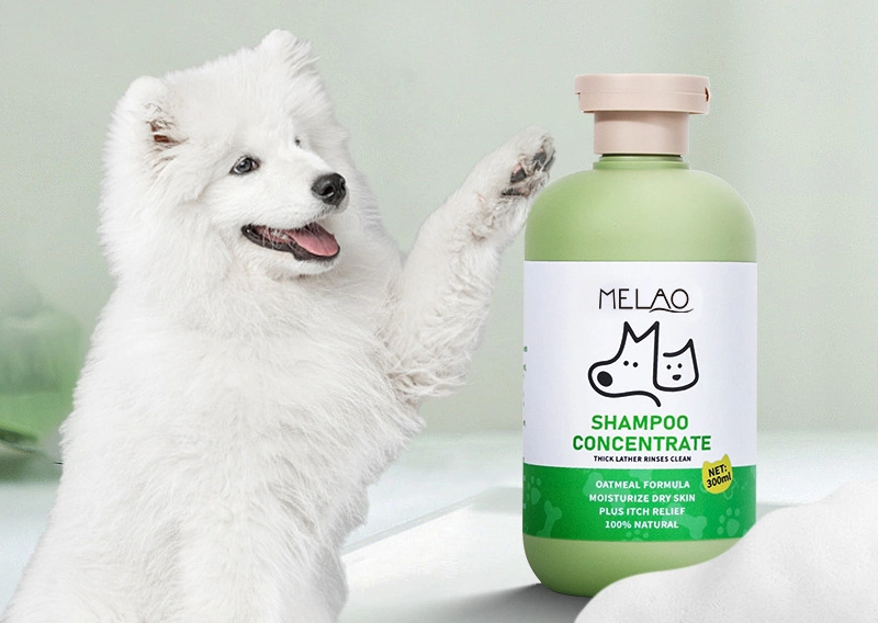 Vente en gros de shampooing pour animaux, de shampooing universel pour chats et chiens, de gel douche à l'avoine, de shampooing doux et de protection des cheveux pour animaux de beauté