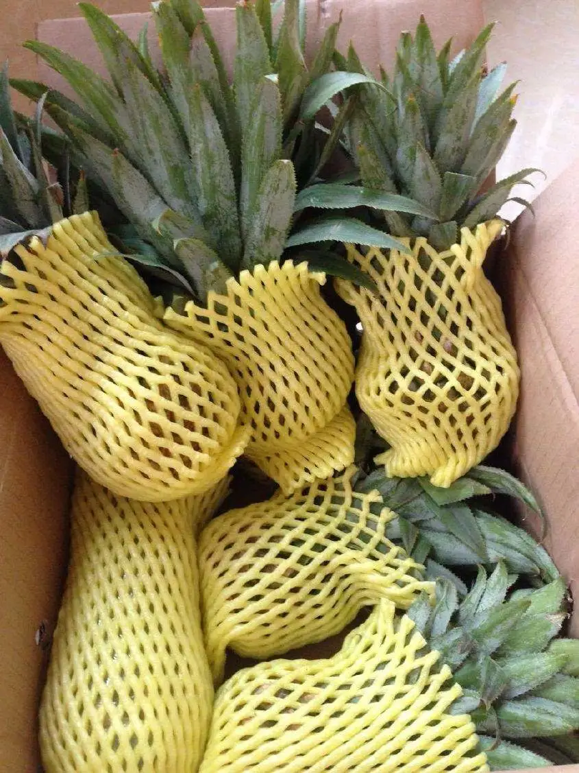 Thailand Small Pineapple Healthy Fruit Xiansghsui Pineapple Processed Fruit High quality/High cost performance  Dried Fruit Hot Sale