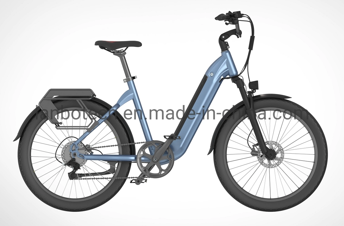 250W Lithium Battery City Electric Bike Daily Commuter EU Ebike