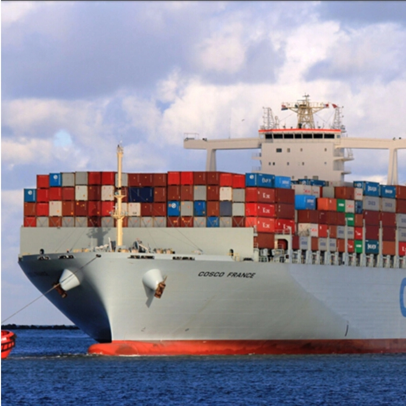 China Sea Shipping Cargo Consolidation Shenzhen nach Spanien Valencia/ Cartagena LCL-Logistikagent