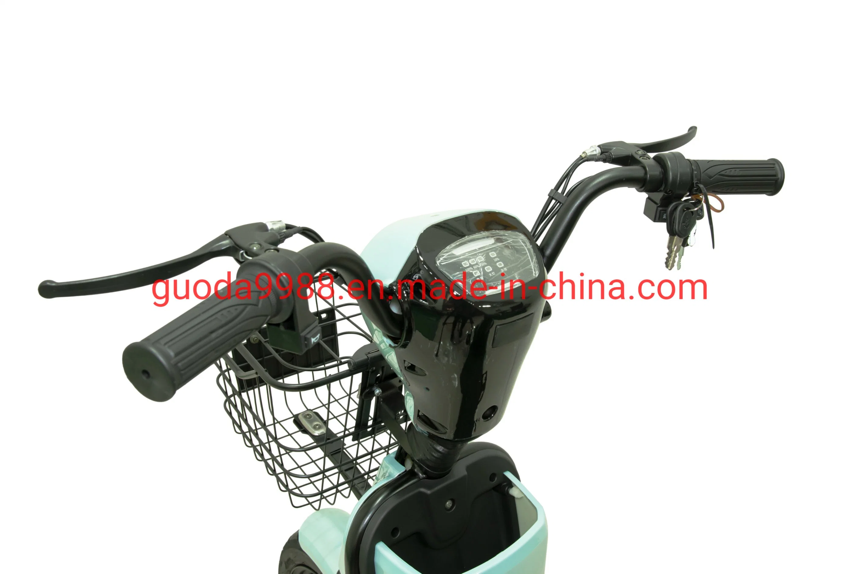 Lead Acid or Lithium Battery Electric Motorcycle Scooter Electric Bike