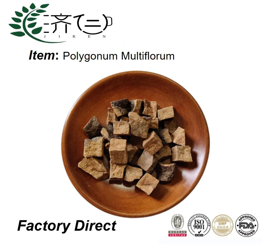 Wholesale Factory Supply Natural Herb Medicine Polygonum Multiflorum Pure Organic Heshouwu