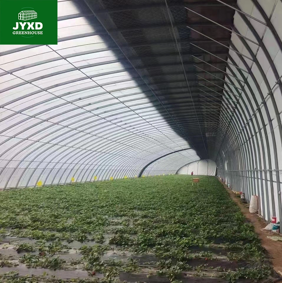 Moderne Landwirtschaft Multi-Span maßgeschneiderte Oval Tube Gewächshaus mit Hydroponics System Kühlsystem für Gemüse Obst Blumen Salat Tomate