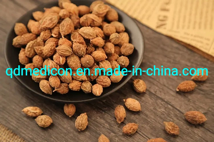 Dipsacus Asperoides (root) Raw Material Prepared Traditional Chinese Herbal Medicine Tonify Yang