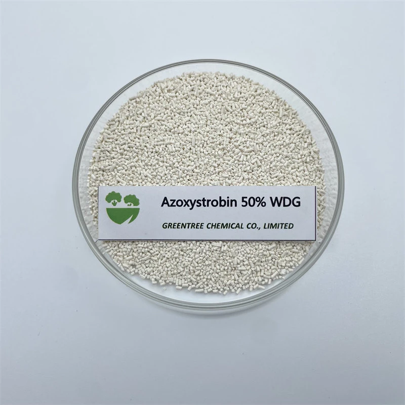 Cas No. 131860-33-8 تعقيم المبيدات Azoxystrobin 50% Wg