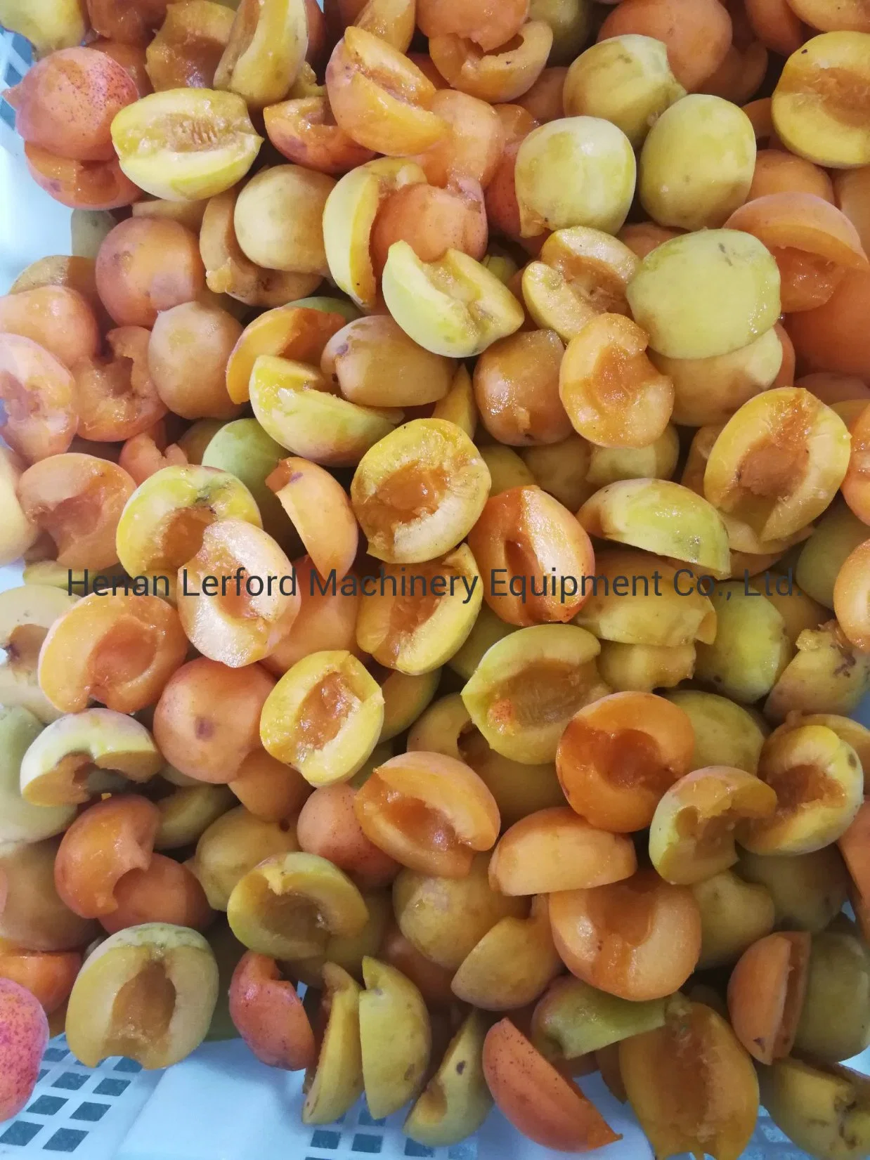 Automatic Apricot Pitting Machine Auto Apricots Pitter Equipment Cheap Price for Sale