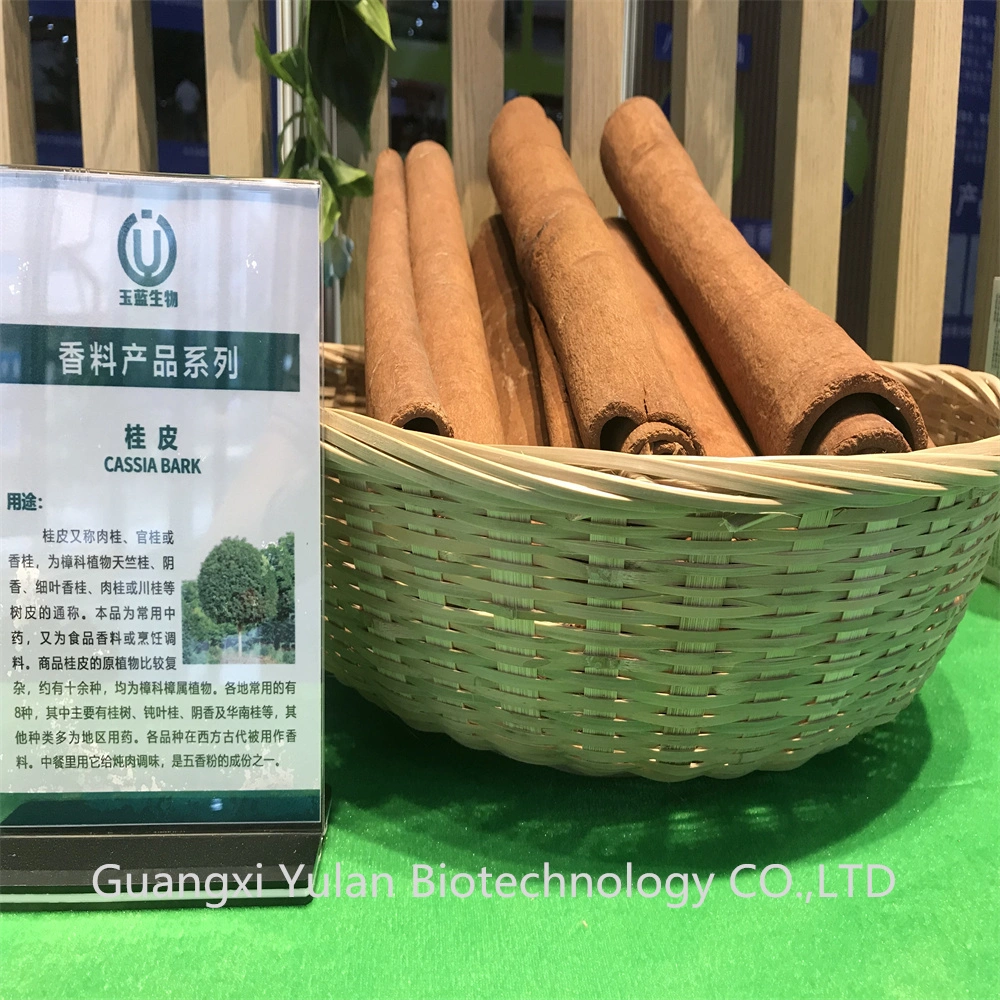 Comercio al por mayor los sabores naturales de la corteza de canela y condimentos Cassia Tube Venta caliente especia