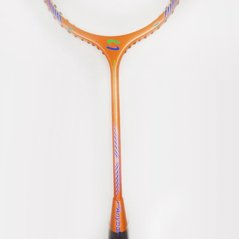 2023 New Full Carbon Material Brand Name Ball Badminton Racket Factory Wholesale/Supplier