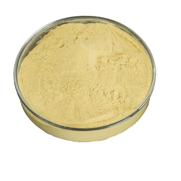 High-Concentration Chitosan Oligosaccharide Powder Is Fully Soluble in Water to Stimulate Crop Growth and Development