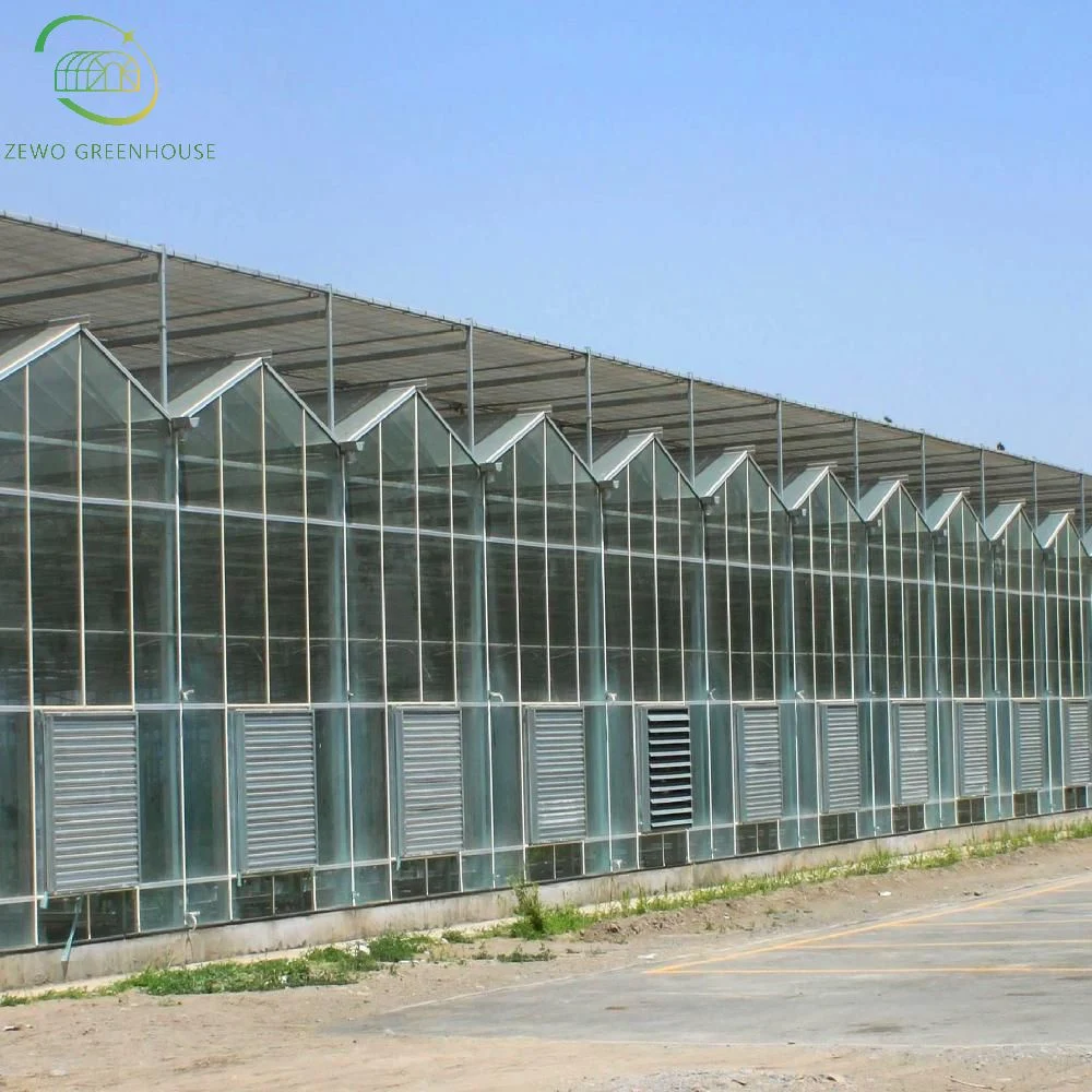 Modern Ecological Multi-Span Glass Greenhouse with Hydroponic System for Vegetable Cultivation