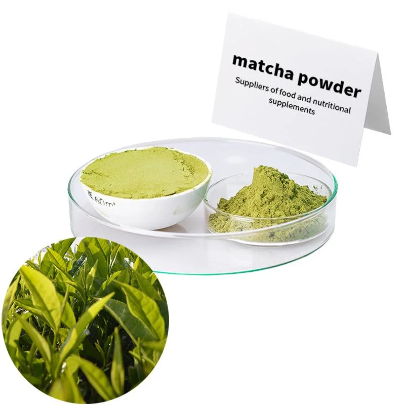Pó de chá verde Magic Premium para a saúde e a energia Matcha