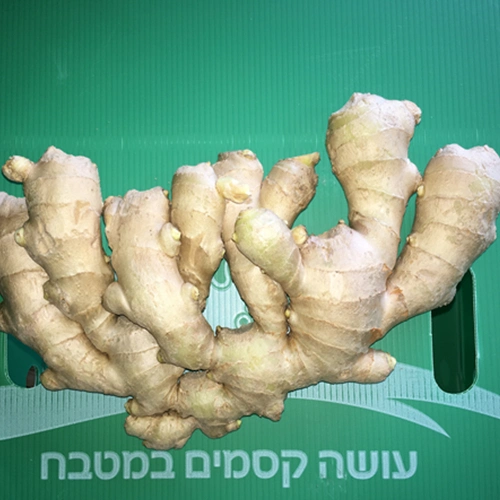 Air Dry Ginger Top Quality 200g Size Net Weight 5kg Box Under 15% Moisture