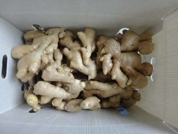 Air Dry PVC Carton High Quality Ginger