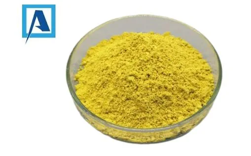 Hot Sale Berberine Hydrochloride CAS No. 633-65-8