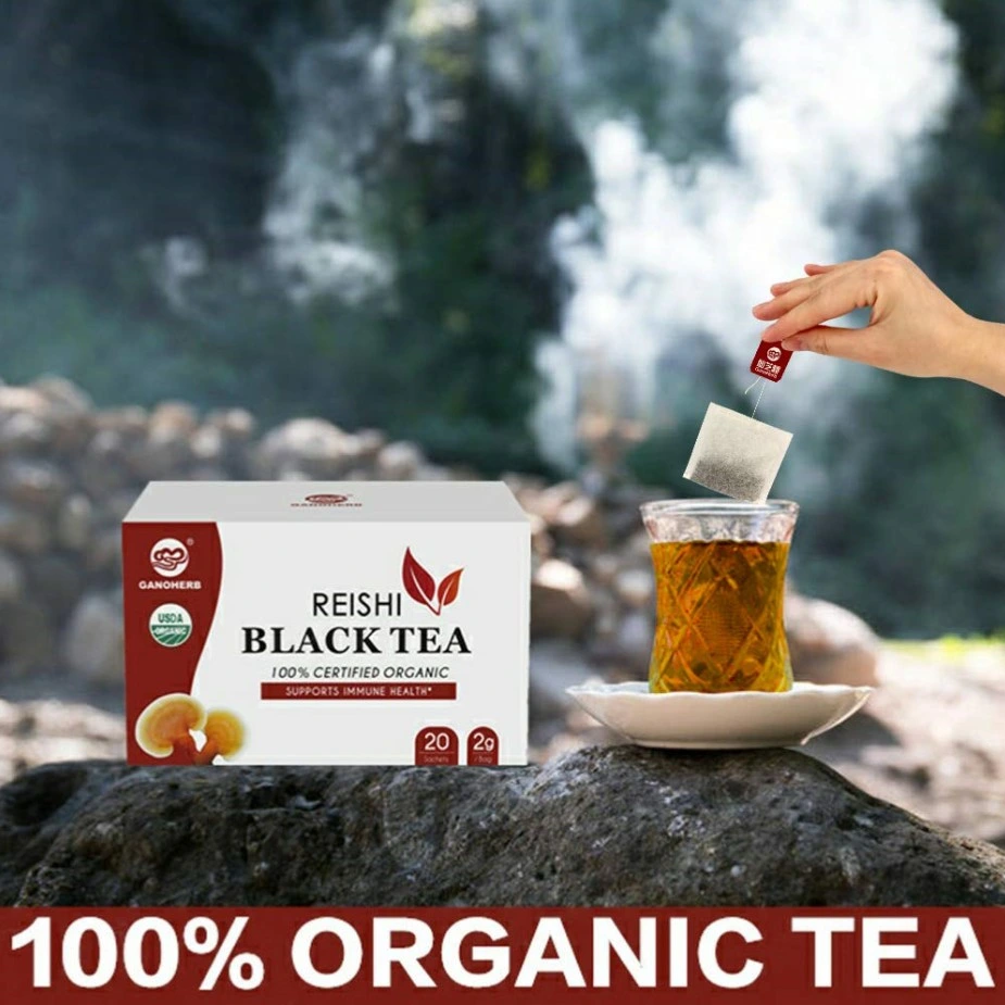 USDA Organic certificados Ganoderma Té Negro té orgánico Reishi