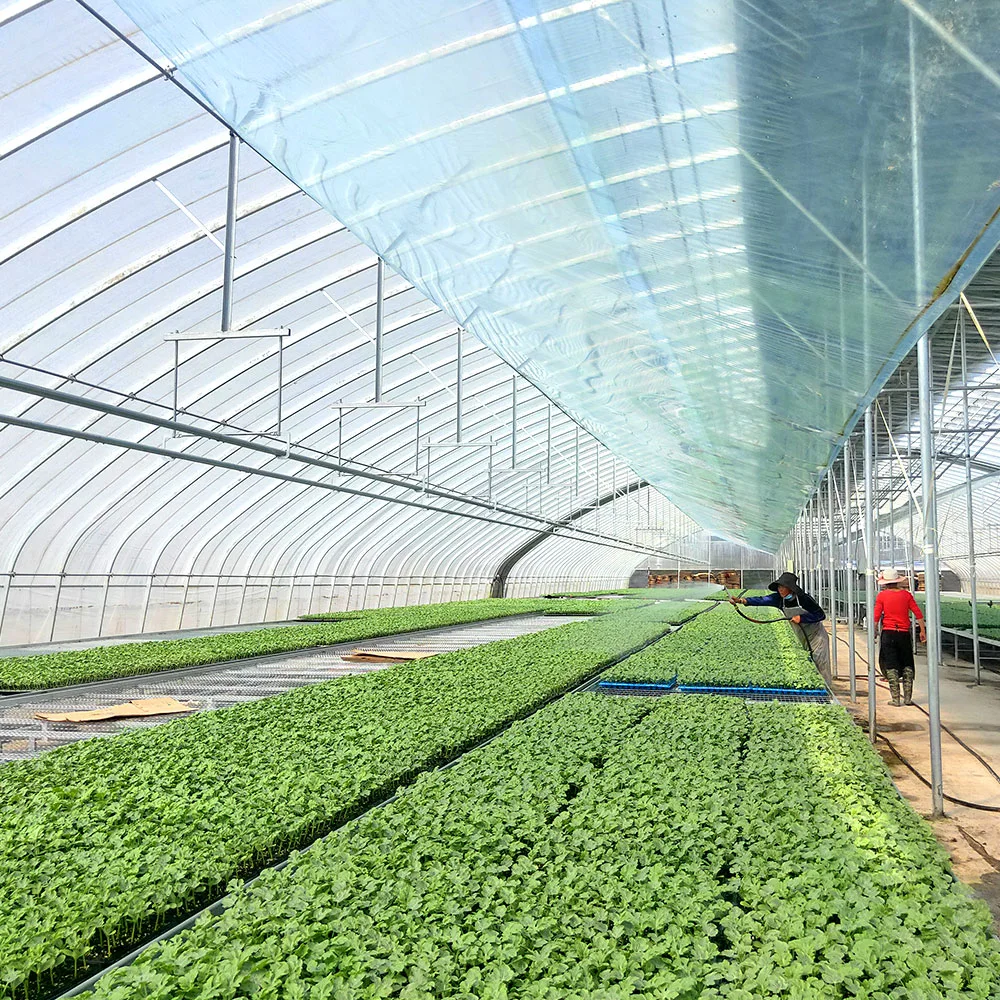 Agricultura Comercial Multi-Span película de plástico película de invernadero utilizada para Tomato/pepino/Peppers/Eggplant/Fresa Mejor rendimiento de aislamiento