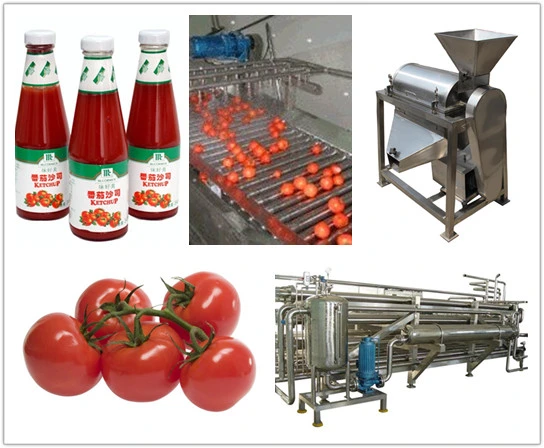 Cold Break Tomato Paste 30-32% Produced in Xinjiang, High Lycopene and Good Color