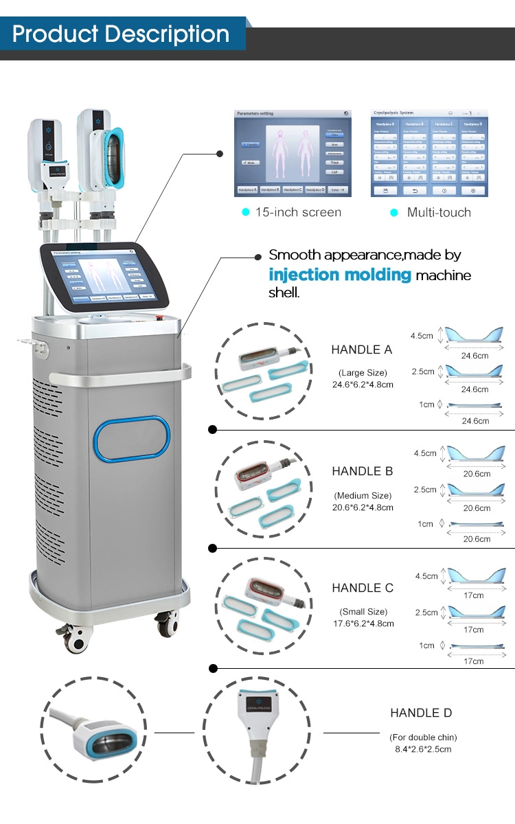 Salon de beauté 360 Cryo de cavitation de la perte de poids de l'équipement laser RF