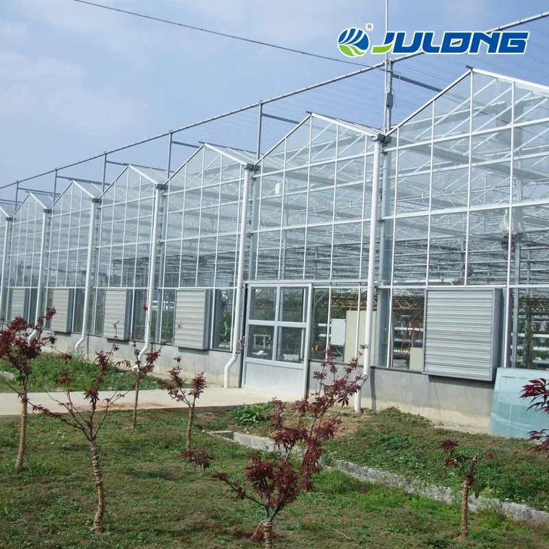 Light Steel Structure Multi Span Greenhouse with European Standards Design