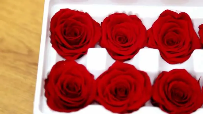 Wholesale/Supplier Preserved 3-4 Cm Antique Red Beautiful Long Life Rose Preserved Roses