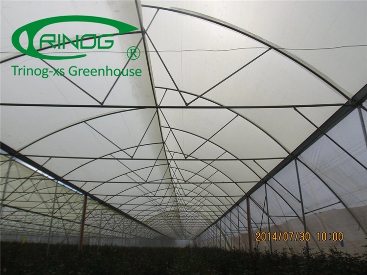 Multi-span Large Agricultural Cultivation Hydroponics System Film Greenhouse with Good Quality