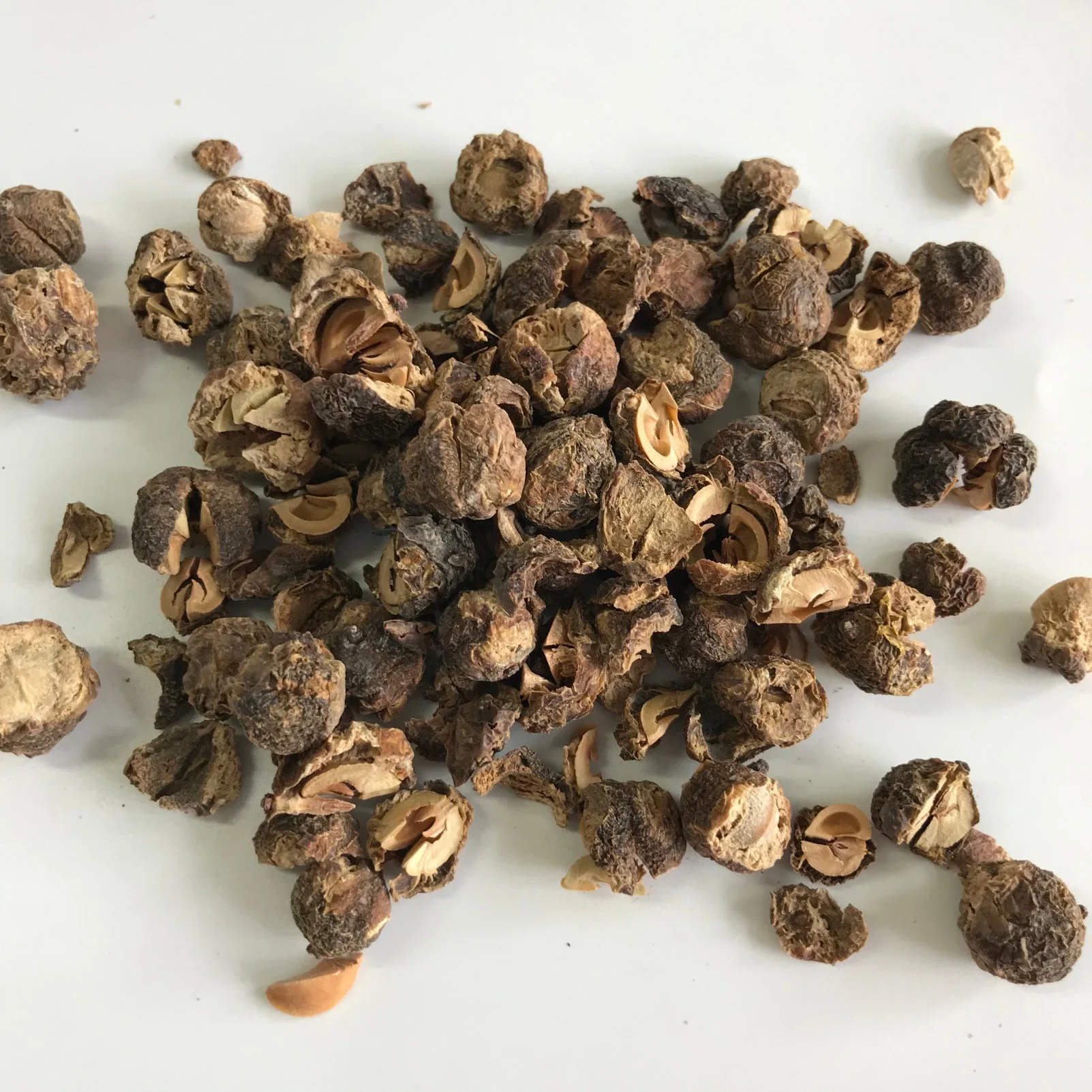 Yu GaN Zi Chinese Herb Medicine Dried Fruit Emblic Leafflower Fruit for Health