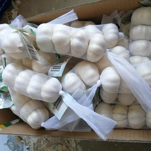 Fresh Normal White Garlic 10kg Carton Box Wholesale/Supplier Top Grade China Fresh Garlic Supplier