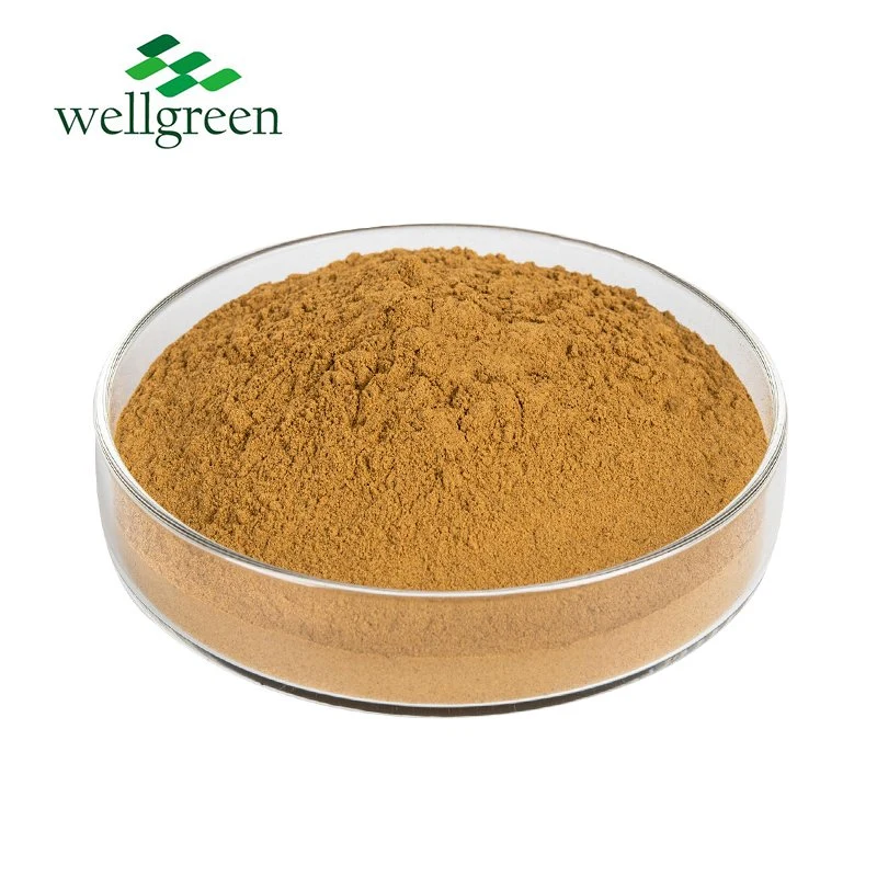 High quality/High cost performance Griffonia Seed Extract Ghana Simplicifolia 5-Hydroxytryptophan Grifonia 5-Htp