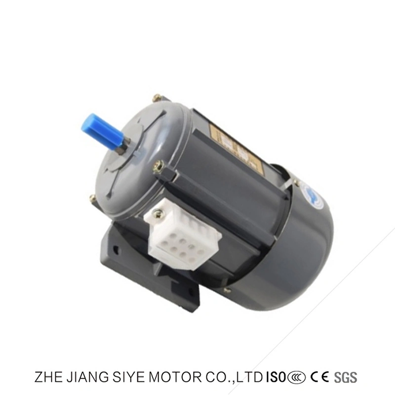 AC Single Phase Electric Vehicle Motor