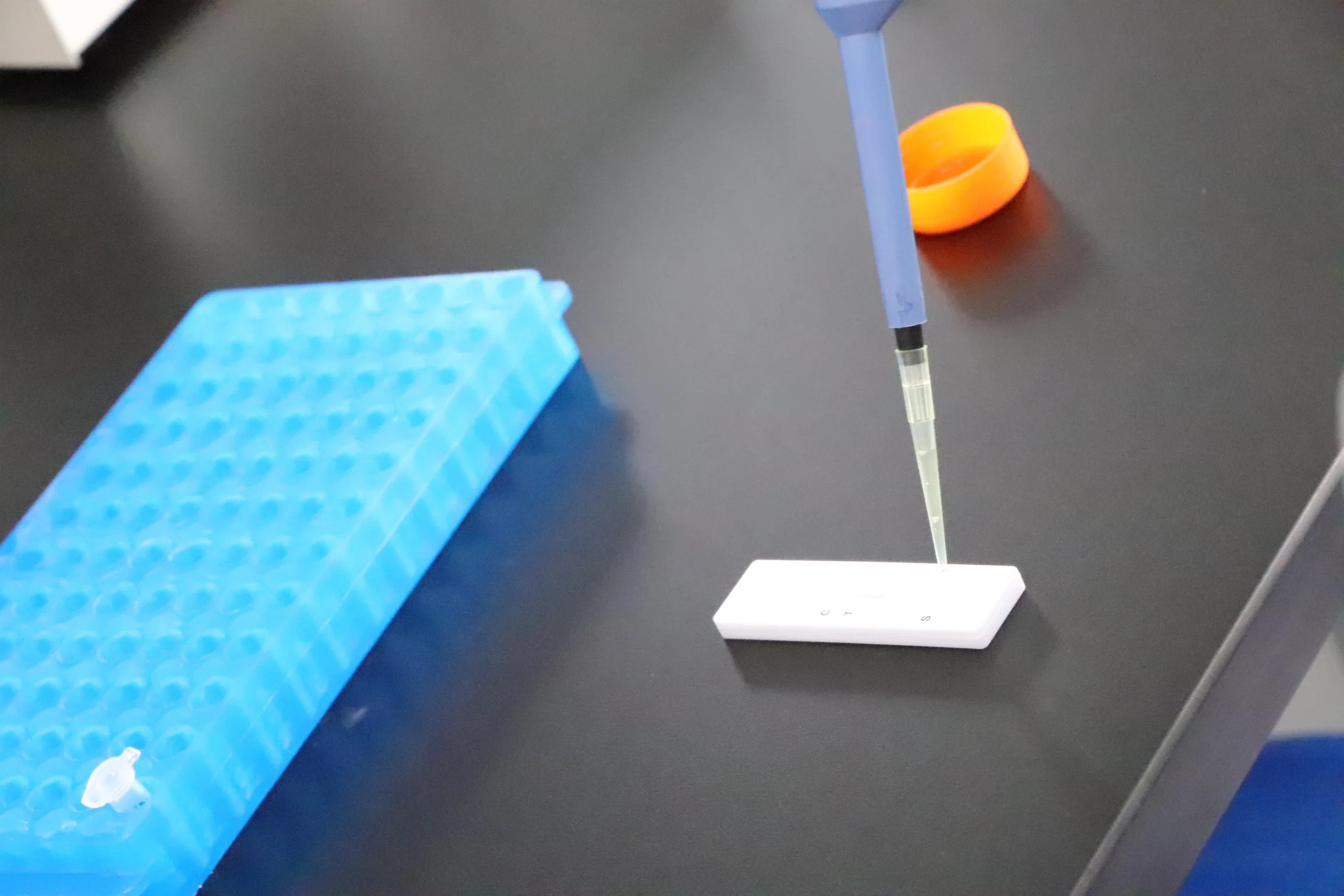 The Rabies Virus Antibody Rapid Test