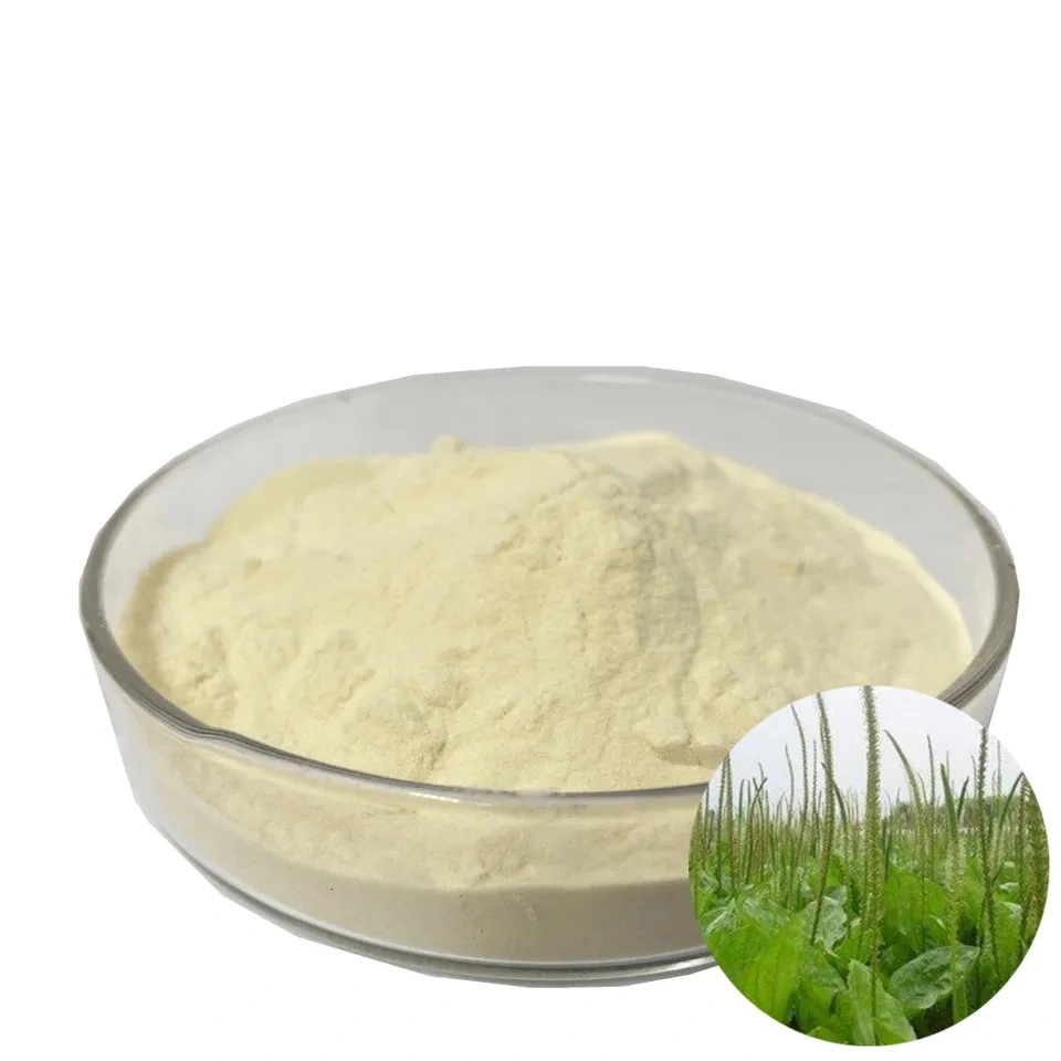 Polvo de psyllium Husk de grado alimentario Extracto de psyllium Husk de grado alimentario Polvo de fibra de psyllium Husk