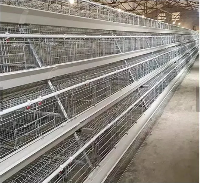 Uganda Poultry Farm Automatic Chicken Layer Cage 4 Tiers 4 Doors for Sale Battery Chicken Cage Chicken Layer Battery Cage Poultry Battery Cage